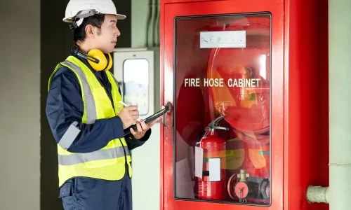 shutterstock_2362964393